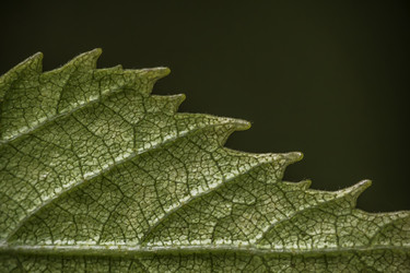 Similar image 7647028