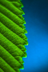 Similar image 7647029