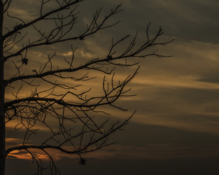 Similar image 7647030