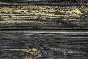 Similar image 7647033