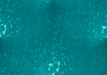 Similar image 7647038