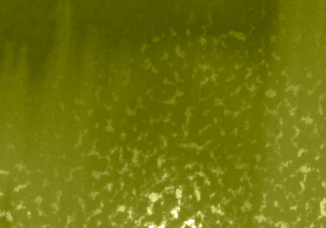 Similar image 7647042