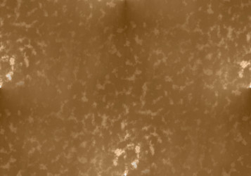 Similar image 7647043