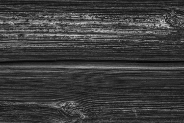 Similar image 7647044