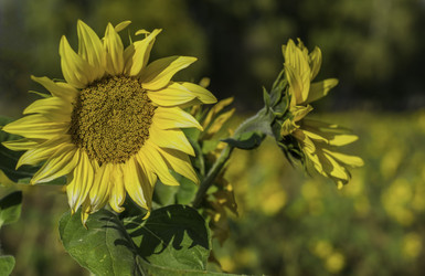 Similar image 7647062