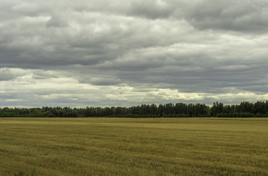 Similar image 7647065