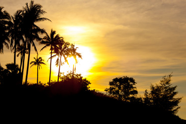 Similar image 7647173