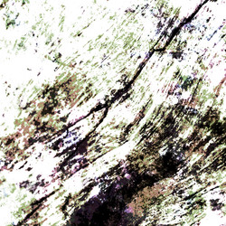 Similar image 7647456