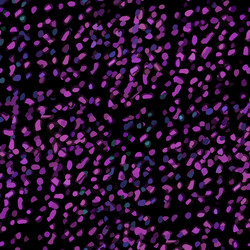 Similar image 7647491