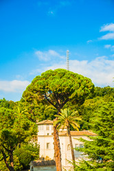 Similar image 7647564