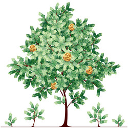 Similar image 7658289