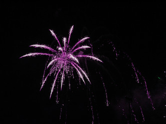 Similar image 7658833