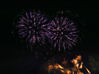 Similar image 7658849