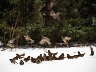 Similar image 7658885