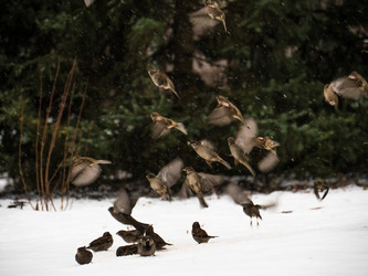 Similar image 7658886