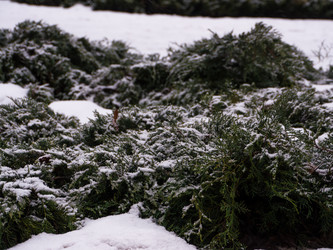 Similar image 7658888