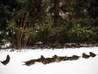 Similar image 7658894