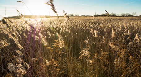 Similar image 7658910