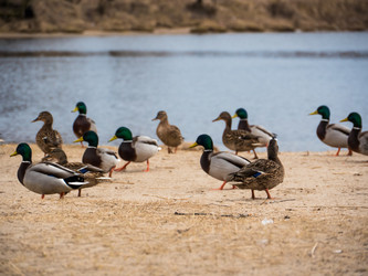 Similar image 7658932