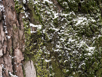 Similar image 7659025