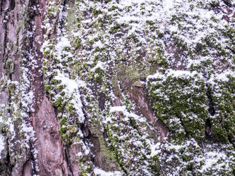 Similar image 7659033