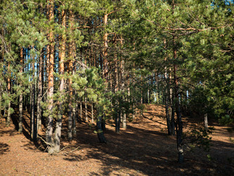 Similar image 7659042