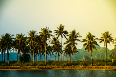 Similar image 7659063