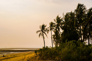 Similar image 7659092