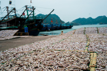 Similar image 7659231