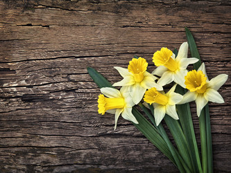 Similar image 7659358