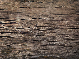 Similar image 7659359