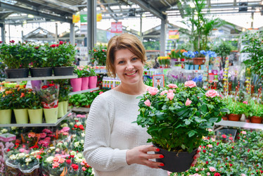 Similar image 7659430