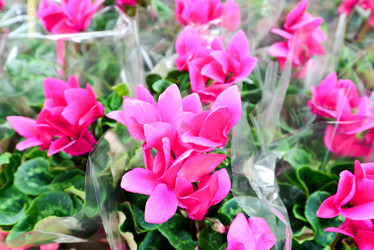 Similar image 7659461