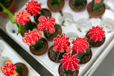 Similar image 7659476