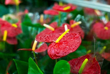 Similar image 7659477