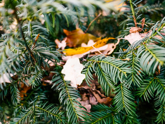 Similar image 7659728