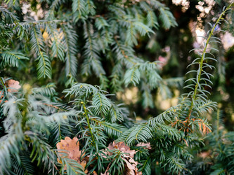 Similar image 7659736