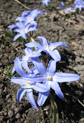 Similar image 7660433