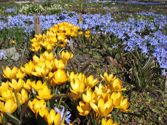 Similar image 7660434