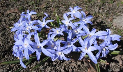 Similar image 7660435