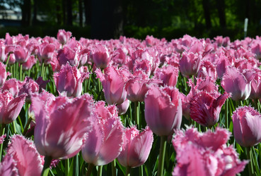 Similar image 7660460