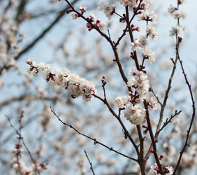 Similar image 7660468