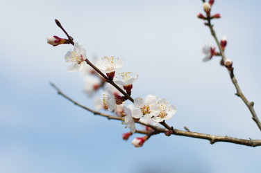 Similar image 7660492