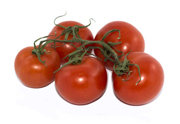 Similar image 7660493