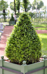 Similar image 7660504