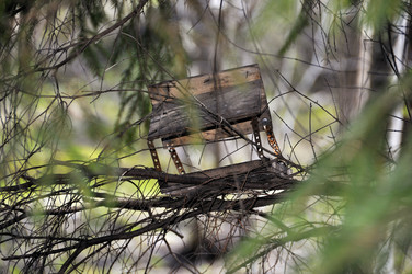 Similar image 7660513