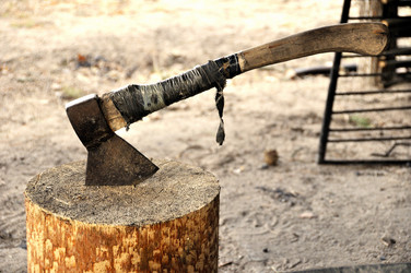 Similar image 7660532