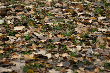 Similar image 7660533