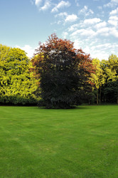 Similar image 7660538