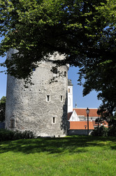 Similar image 7660541